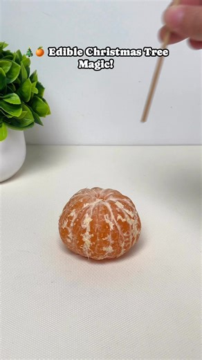 Molly | teacher | traveler🤍✈️ on Instagram: "🎄🍊 Edible Christmas Tree Magic!This beautiful Christmas tree is made from orange peels — simple, natural, and perfect for a cozy holiday craft with kids.A fun way to reuse fruit, boost creativity, and add a warm festive touch to your Christmas table. ❄️✨Easy, eco-friendly, and full of holiday joy ❤️Save this idea for Christmas Eve! #ChristmasDIY#HolidayCrafts#EdibleCrafts#OrangePeelArt#EcoFriendlyCraft#SustainableChristmas#KidsChristmasCraft#Creati