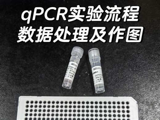 qPCR实验流程、数据处理及作图‼️全流程✨