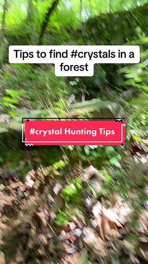 Crystal Hunting Tips for Finding Crystals in the Forest