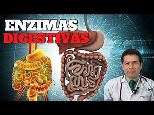 Holistic natural treatment improves the production of digestive enzymes