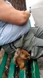 122K views · 1K reactions | The Hungry Amigo  | Best videos | Facebook