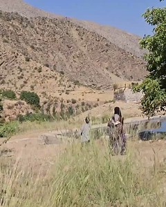 745K views · 10K reactions | Apple Harvesting Adventures Nomadic Life | Cooking TV | Facebook