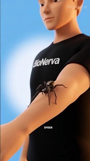 What Happens Inside Your Body When a Venomous Spider Bites You? 🕷️ | 3D CGI