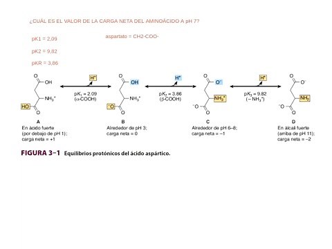 Ejercicio de ionización de un aminoácido y cálculo de la carga neta.