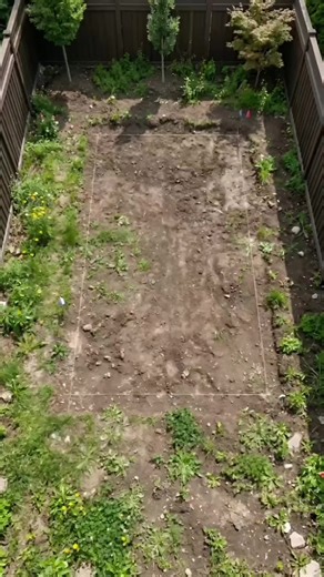 Transform Your Backyard into a Stunning Pool Paradise