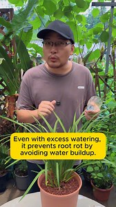 3.4K views · 17 reactions | Use a plastic bottle to prevent root rot #gardening_love #gardeninguk #gardening101 #gardeningtools | Addicted Gardening | Facebook