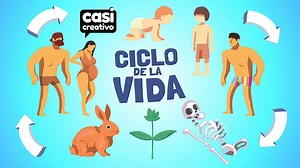 384K views · 44K reactions | El Ciclo de la Vida es Muy Loco | Casi Creativo | Casi Creativo | Facebook