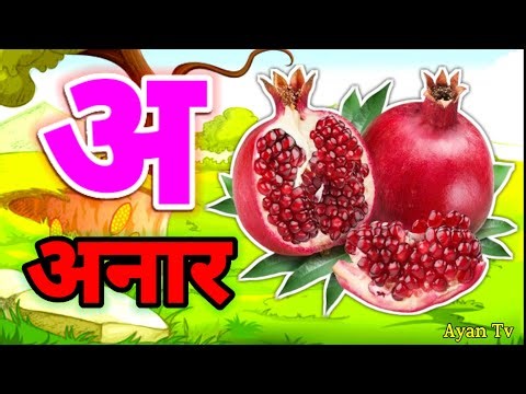 A Se Anar,अ से अनार ,आ सेआम,हिंन्दी वर्णमाला,अआइई ,क से कबूतर ,Aa Se Aam,हिन्दी स्वरमाला