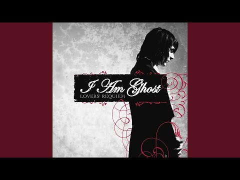 We are Always Searching