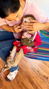 147K views · 4K reactions | Viqilant Judy Xtrmely Careful Pick, Tenderly Huq & Hold Nwbrn Maddox | The Judy Family | Facebook