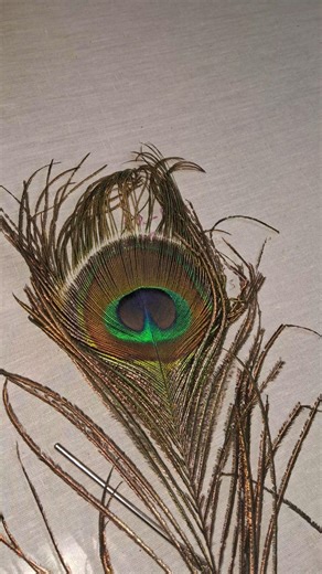 Aari embroidery class Day9| Beginner Tutorials (Free Courses):Step-by-step #magic #chainstitch#basic