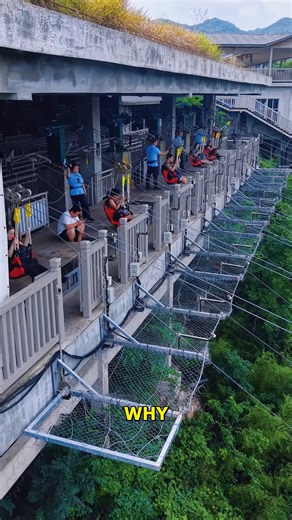 Thrill Of The Zipline Adventure Awaits! #ZiplineAdventure #MountainThrill #OutdoorFun #AdventureSeekers #ThrillRide | Deep Dive News