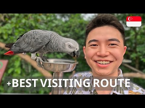 The Ultimate Guide to Bird Paradise Singapore