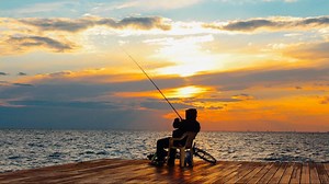 Care este perioada de prohibiție în anul 2025