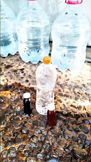 How to Use EM4 Fisheries and Molasses for Catfish Cultivation in Gallons