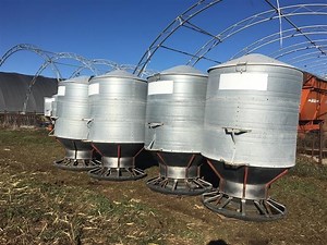 Big Husky Hog Feeders | Agriculture