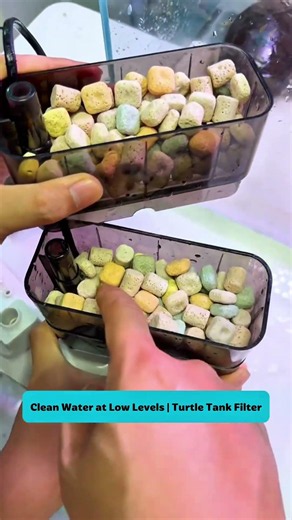 Clean Water at Low Levels | Turtle Tank Filter #aquarium #fishtank