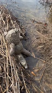 Cleaning Abandoned Doll | Eligoss sport foot | Facebook