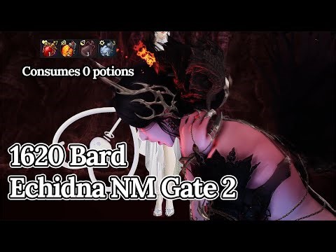 [Lost Ark]1620 Bard - Echidna NM Gate 2