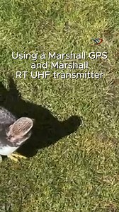 3.6K views · 76 reactions | Special thanks to Dave Rampling for...