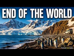 South Georgia | The Wild Island at the End of the World | 4K Documentary