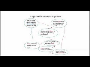 C.1 Feedback Loops Overview