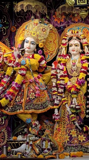 Jai Shree Radhe Krishna #love #shiyam #trending #radheshyam #viralvideo #song 🙏🏻🙏🏻🚩🚩❤️❤️❤️🌹❤️