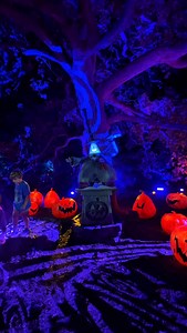 Tim Burton’s Nightmare Before Christmas has arrived in Austin, Texas 🎃 🕷️!! —— 🎃 Comment FALL - & I’ll send you the full list of top things to do in Austin this fall with dates! —— Kid, stroller-friendly, & family-friendly event! We brought baby in the stroller and enjoyed the experience. There are several bars set-ups with beverages & snacks. Join Jack Skellington, Sally, and others on a walk of Halloween wonders, as fan-favorite characters, scenes, and songs from the immortal film come to l