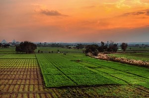 Egypt: Agricultural Exports Exceed 5 Million Tons in 2020 Despite Virus Outbreak | Al Bawaba