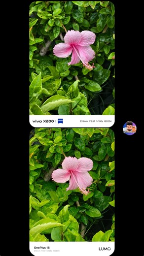 Vivo X200 Vs Oneplus 15 10x Zoom Test