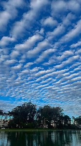 39K views · 150 shares | Spot it with Lens. Understand it with AI. All in the Google app. | Google | Facebook