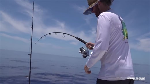 Yellowfin tuna fight from start to finish