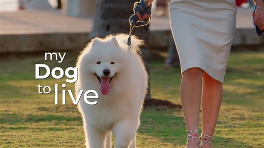 ▶️ Biohack Yourself: Harmony and Health - Biohack Yourself Harmony and Health Trailer