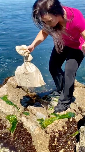 642K views · 6K reactions | Found this at the lake!  | Our Weird & Wonderful Discoveries | Facebook