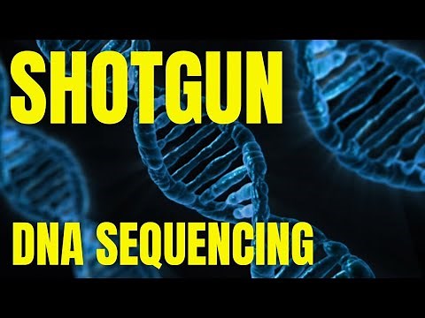 Shotgun sequencing method explained | Hierarchical shotgun sequencing of DNA
