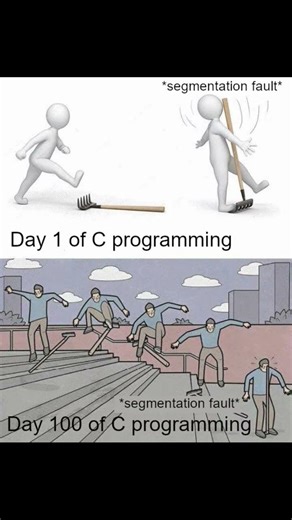 Day 1 vs Day 100 of C Programming 🙃 #trending #memehub #memes #memecoding #codingnewbie #funnymemes