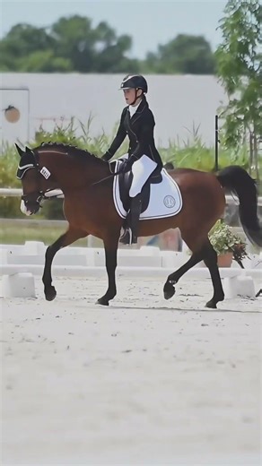 Dressage CCE Poney 🇫🇷➡️🇪🇺 | championnats de France As Poney Élite GP & championnats d'Europe 2025