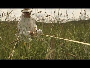 Forensic Science Field Techniques - Establishing the Scene