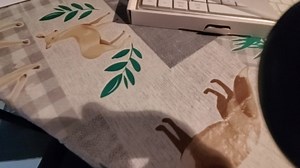 Watch Jelly keyboard on Amazon Live