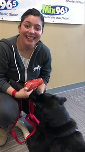 It’s For Pets Sake and we have a precious 1 year old black lab/ retriever named Forest- BONUS: He is FREE since Asheville Humane Society has waived fees through May 13th!! | Mix 96.5