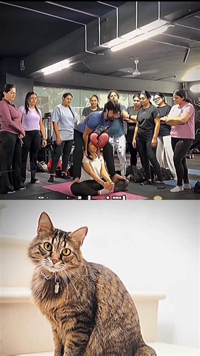 Stretching time😂😂 #funny #mems #liriklagu #cbum