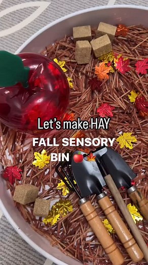 🍎🍁FALL SENSORY BIN! How cute did this one turn out? 🙊🙊 To make the “hay,” break up some uncooked spaghetti noodles and place them in a ziplock bag. Add a few squirts of brown food colouring, squirt of hand sanitizer (or vinegar), mix it up and lay it in a tray until dry. When ready, add to a shallow tray with all your fall pieces! Have fun! 😘 ➡️Follow @lovebloomlearn for more easy play ideas! 🧚‍♀️ 👶🏻👶🏽👶🏾All activities should be supervised by an adult. ✨🌈For more easy play ideas, che