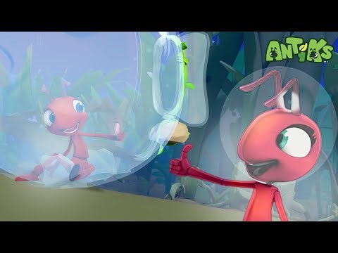 Houston There's No Problem! | 🐛 Antiks & Insectibles 🐜 | Funny Cartoons for Kids | Moonbug