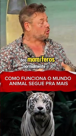 como funciona a reprodução no mundo animal #shots #animais #fauna #biologia