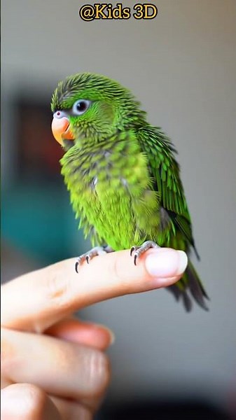 💚🐦 "Tiny Parrot on a Finger – Cutest Bird Ever! 😍✨" #trending #trendingshorts #viralvideo #explore