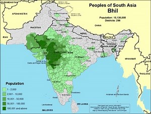 Tribal Food of India