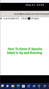How To Check If Apache httpd Is Up and Running #shorts