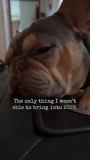 Bbq_Lady (@bbq_lady)’s videos with original sound - Wyngs