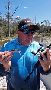 Episode 2 in Paul Chew's springtime impoundment barramundi series and it's time to select a presentation for fishing the warmer period through the middle of the day. Fish on! 🎥 @on.the.chew Through the heat of the day it's time for a weedless rigged soft plastic paddle tail, such as a ZMan 4" Mulletron or 5" DieZel MinnowZ. Check out the Mulletron colour range on our website at - https://tackletactics.com.au/ZMan-Lures/Mulletron-Unrigged . . #fishing #zman #mulletron #ifishzman #softplastics #b