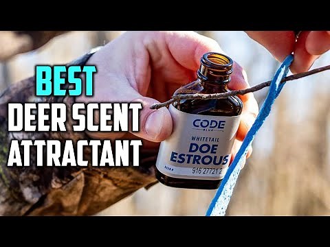 Best Deer Scent Attractant in 2026- Top 5 Review